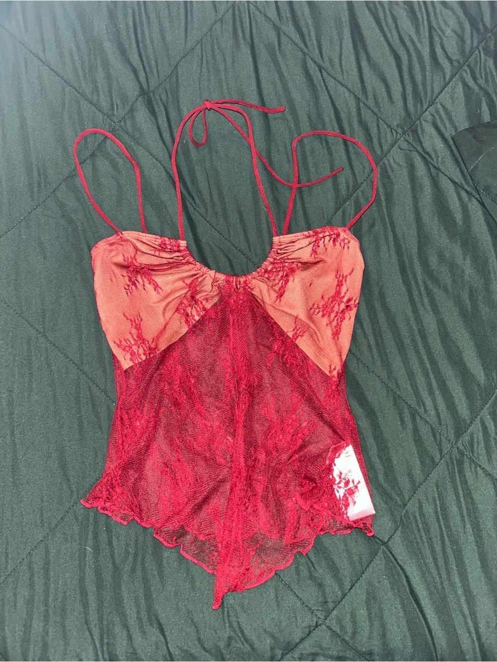 Cider Red Sheer Lace Top